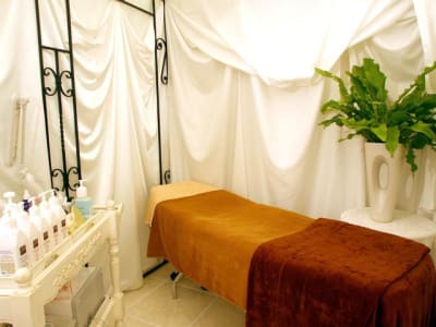 Salon of Beauty 『MISTRAL』