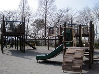 高津公園