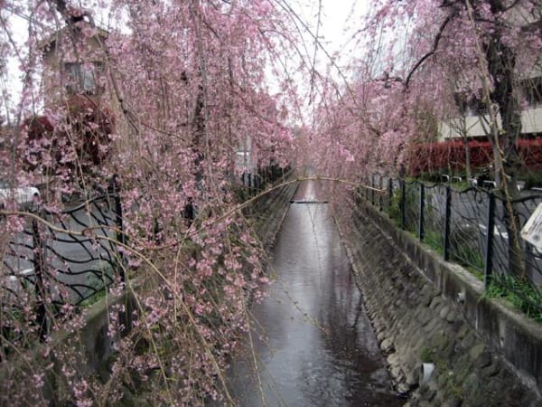 二子二ヶ領公園