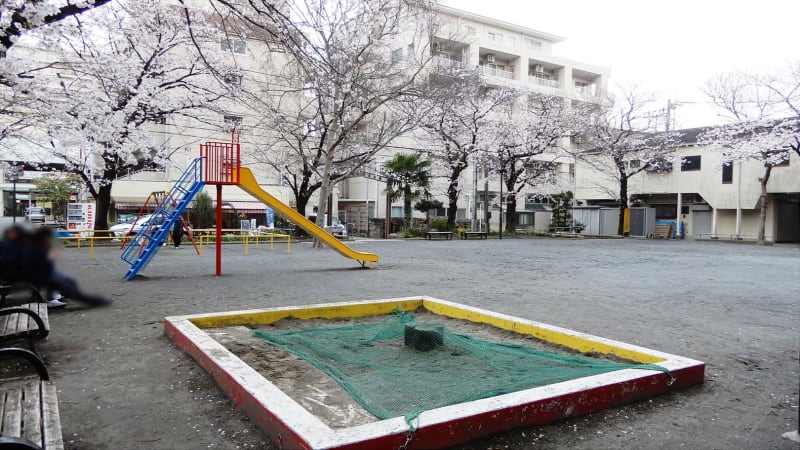 【保土ケ谷区】春のお出かけを楽しもう！～お花見特集2026～