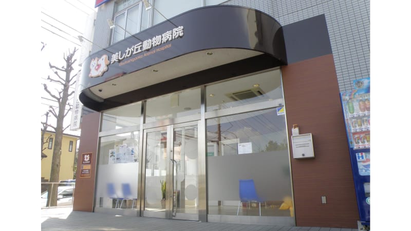 美しが丘動物病院