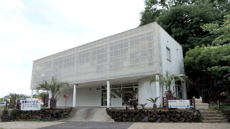 DOGPLEX