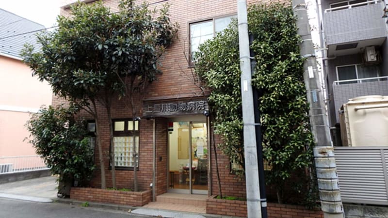 上星川動物病院