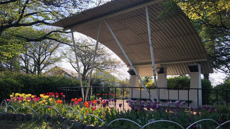 浅間台みはらし公園（センゲンダイミハラシコウエン）