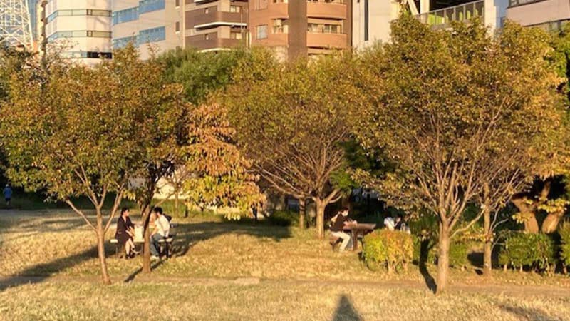 【港北区】春のお出かけを楽しもう！～お花見特集2026～