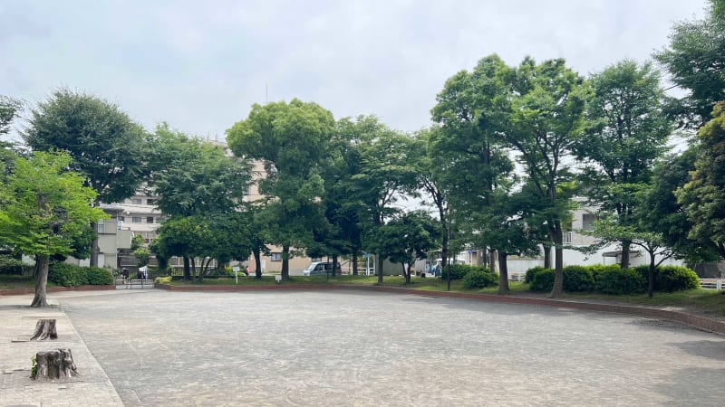 大豆戸桜田公園（まめどさくらだこうえん）