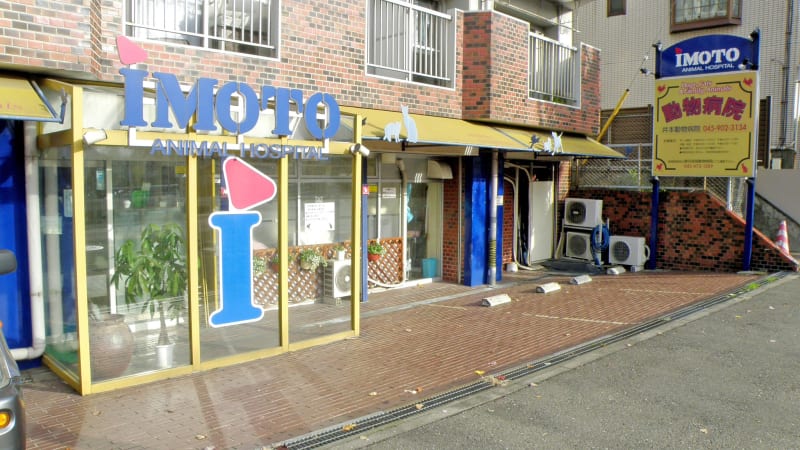 井本動物病院
