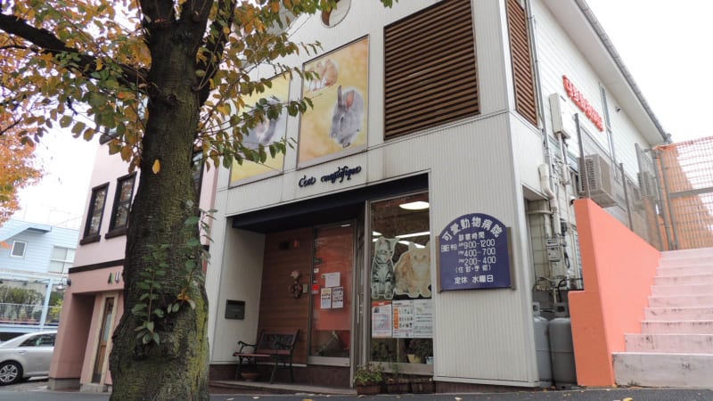可愛動物病院