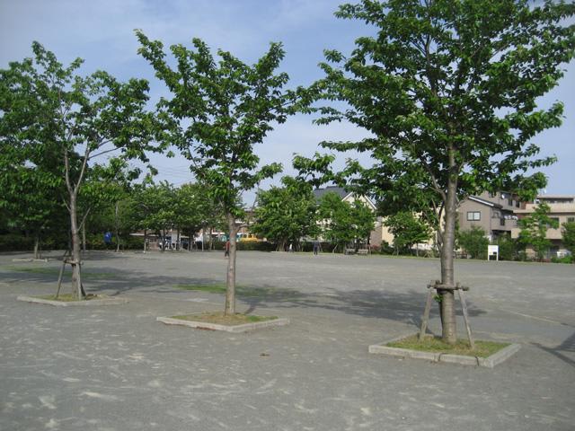 犬蔵さくらの丘公園