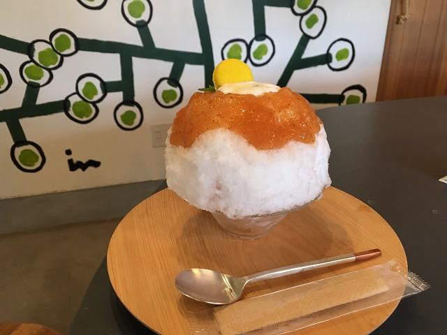 SETOUCHI HIDAMARI KAKI-GORI　鷺沼店