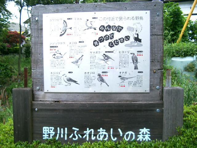 野川ふれあいの森