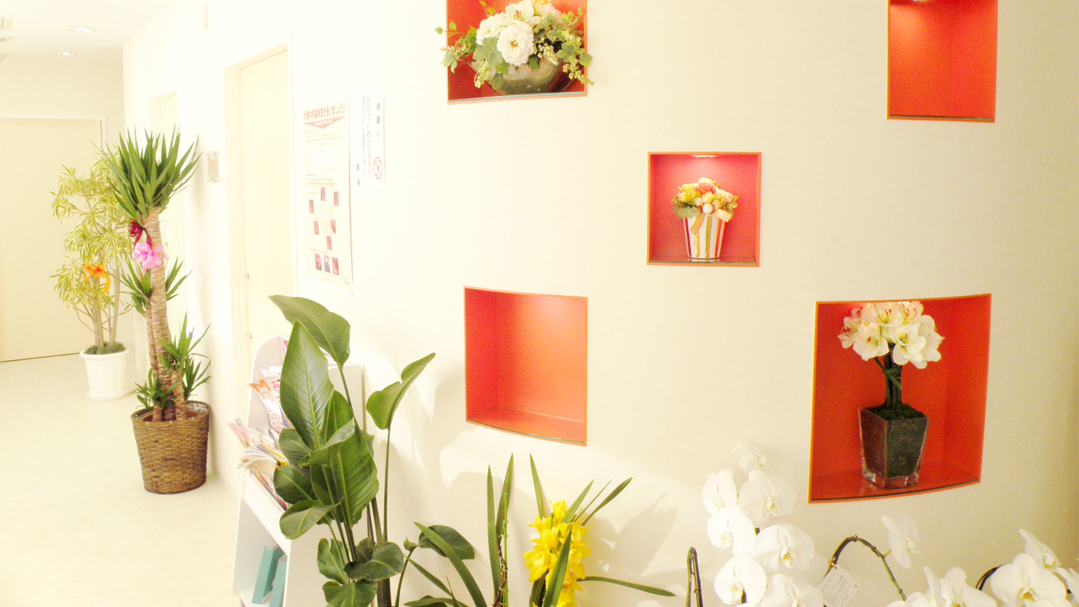 木暮クリニック 溝の口駅 内科 高津区 Jp