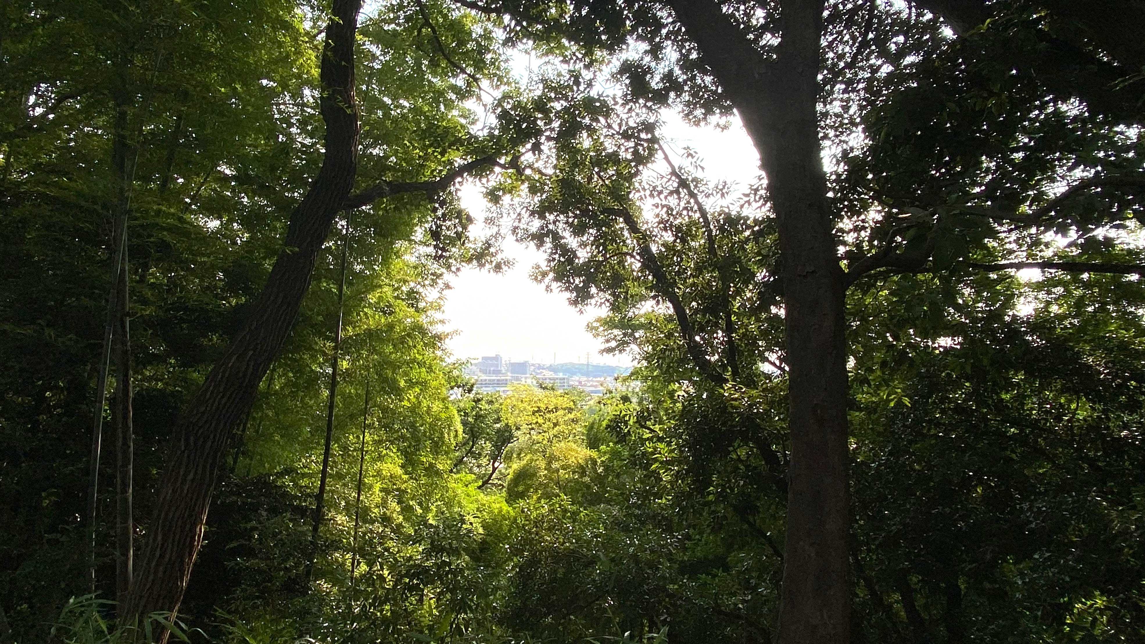 日吉 の 丘 公園