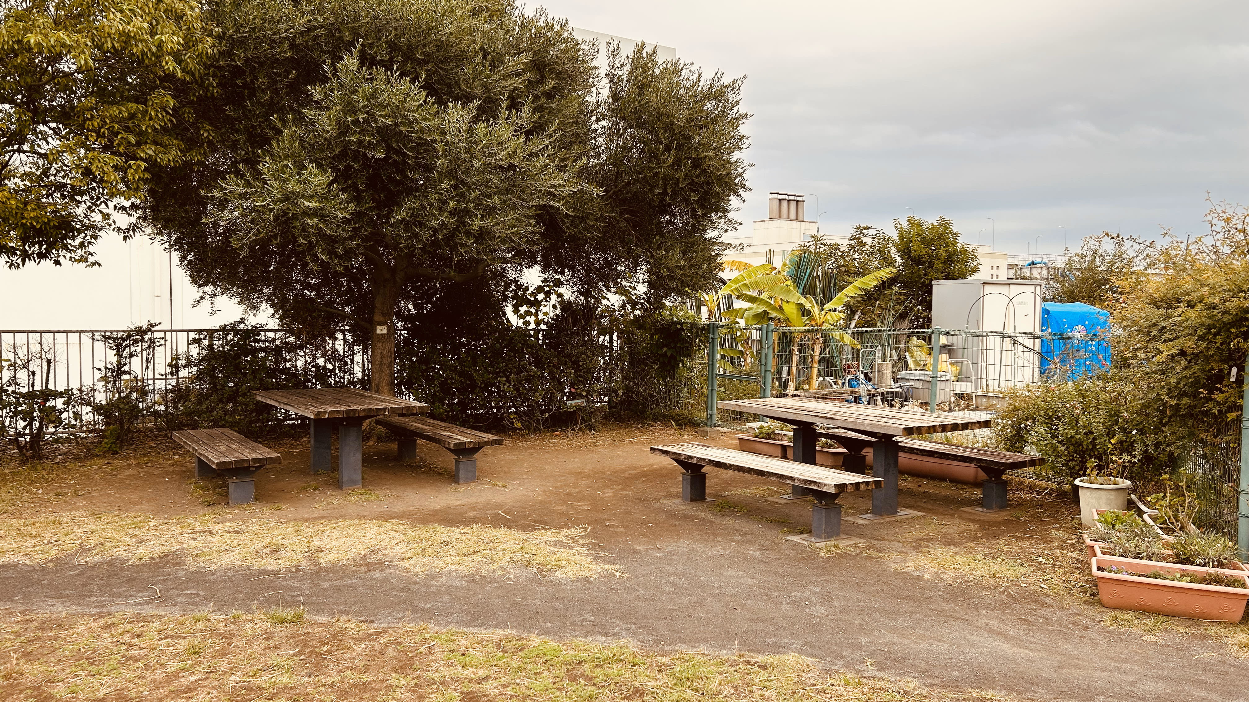 大学が見える公園 磯子・海の見える公園（いそご・うみのみえるこうえん）(磯子駅,子ども