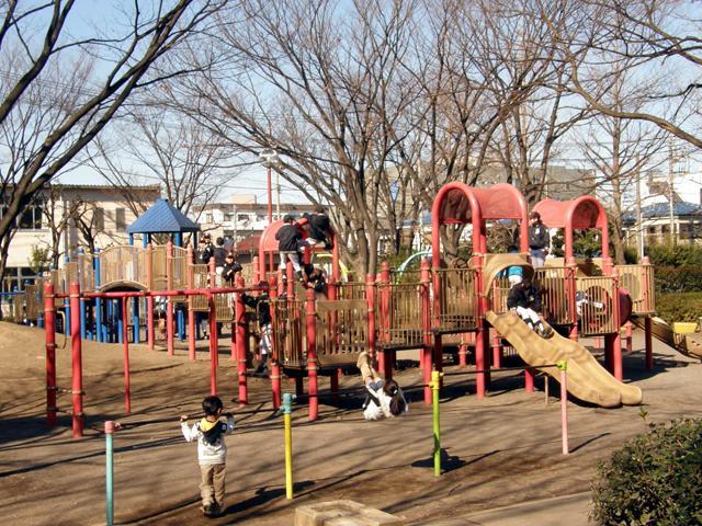橘公園 武蔵中原駅 大きい公園 高津区 Jp