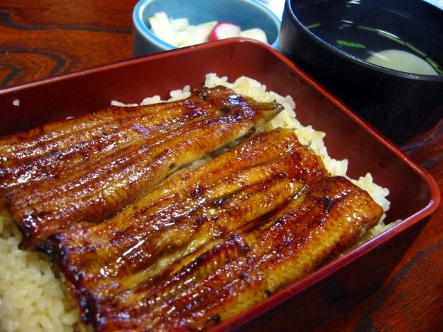 うなぎ『菊水』