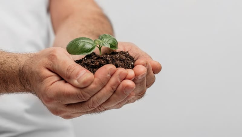 Bağban xidmətləri