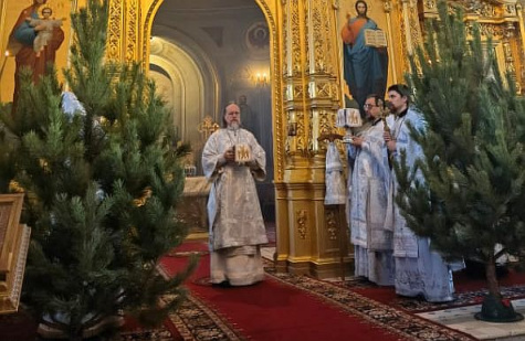 Рождественский собор Рязань