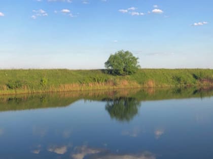 20 мая в Рязанской области пройдет дождь и похолодает до +22 градусов