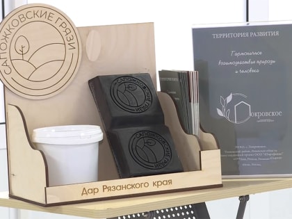 В Сапожковском районе планируют возрождать грязелечение