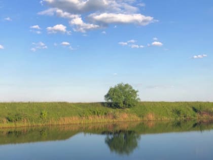 19 апреля в Рязанской области днем ожидается до +20