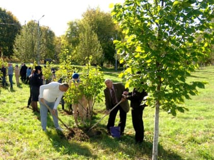 Сад содружеств появился в Дашково-Песочне