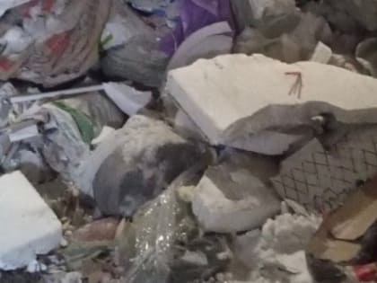 В «ЭкоПронске» сообщили о пойманном с поличным «чёрном возчике»