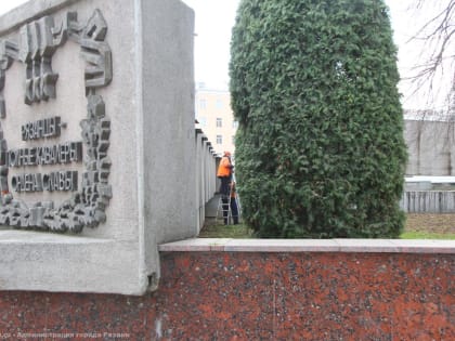 На площади Победы в Рязани подстригли туи