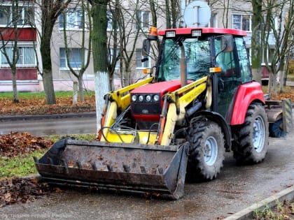 Дирекция благоустройства проводит сезонные работы в областном центре