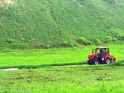 В областном центре продолжается озеленение и уборка городских территорий