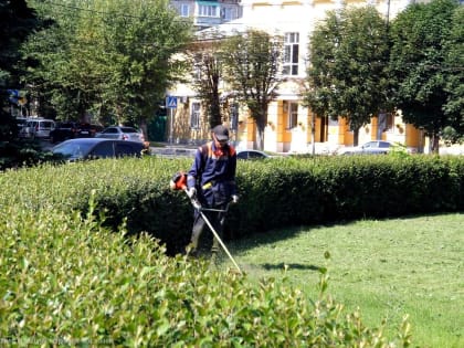Окос травы и уход за цветниками: в городе продолжаются сезонные работы по благоустройству