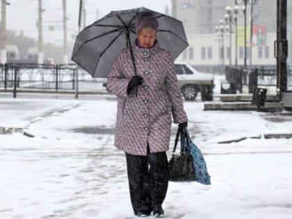 4 марта в Рязанской области ожидается дождь и до +2 градусов