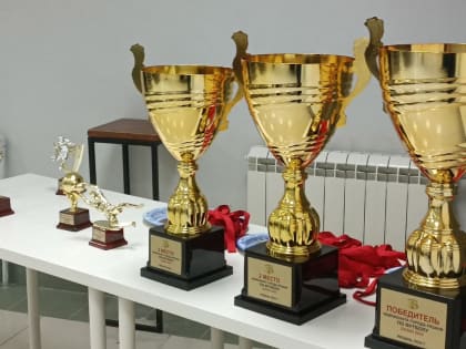 Чемпионат Рязани завершился награждением лучших игроков