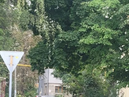 Из-за аварии на улице Черновицкой без горячей воды остались 43 дома