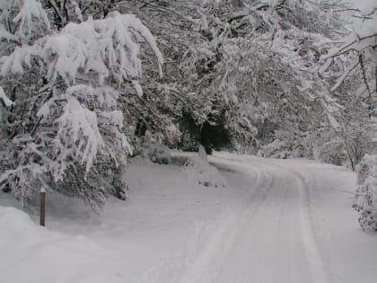 24 февраля в Рязанской области ожидается сильный ветер и до -19