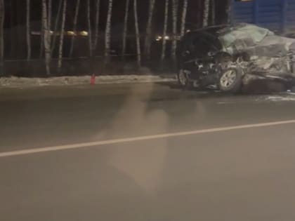 На Южной окружной дороге Рязани грузовик смял легковушку