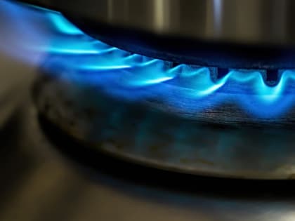 Цены на обслуживание газового оборудования в Рязани поднимут на 15% за 3 года
