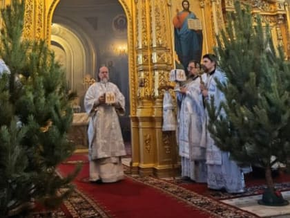 «Они не хотели подчиняться никому, кроме Бога»