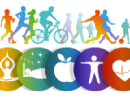 ​Здоровый образ жизни – это…