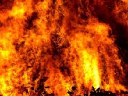 За неделю в Рязанской области потушили 55 пожаров