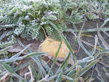 5 мая в Рязанской области ожидается дождь и до -2