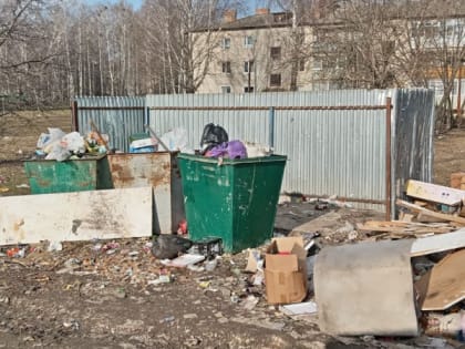 Власти Кораблинского района прокомментировали жалобы на мусор в городе