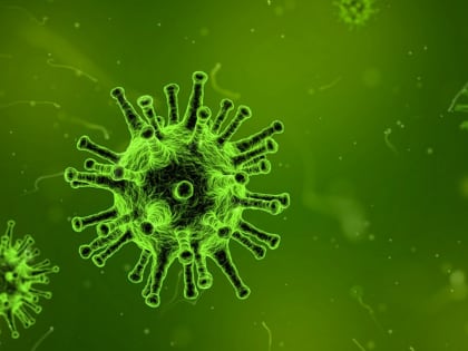 Новые штаммы гриппа и COVID-19 в Рязанской области не зарегистрированы