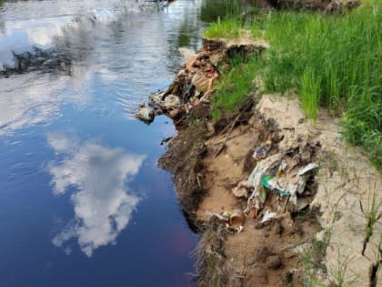 В Рязанской области размыв на берегах реки Пры проявил закопанные туристами горы мусора