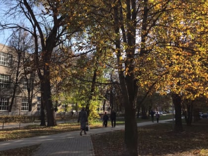 7 ноября в Рязанской области ожидаются дожди и до +11