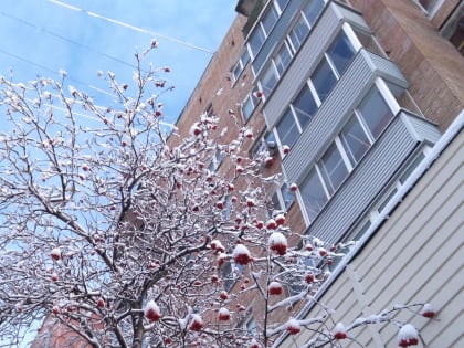 Составлен рейтинг управляющих компаний Рязанской области по итогам 2023 года