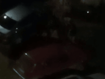 В Шлаковом группа мужчин устроила массовую драку