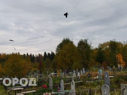 В Рязани голосовать хотят даже мертвые люди