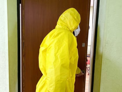 В Рязани ввели карантин из-за африканской чумы свиней