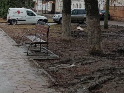 Жители Рязани пожаловались на состояние парка в Кремле